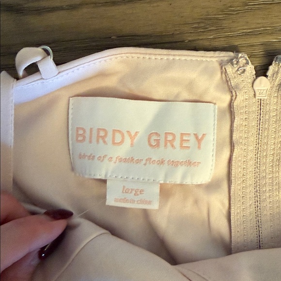 NWT Birdy Grey Kaia Pale Blush Pink Dress - Picture 6 of 7